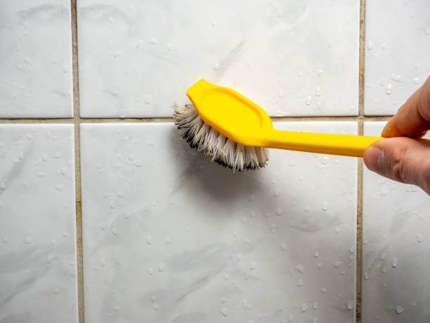 Best Black Mold Removal  in Swoyersville, PA